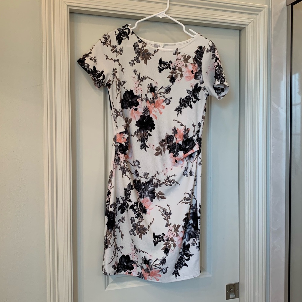 Pinkblush Dress